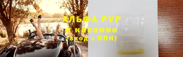 стафф Алзамай