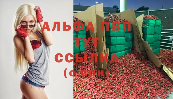 стафф Алзамай