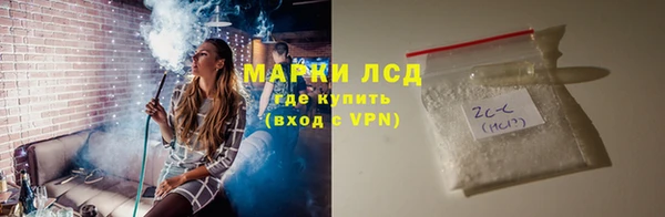 стафф Алзамай