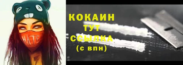 стафф Алзамай