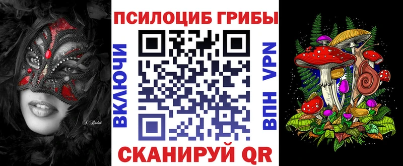 Псилоцибиновые грибы Psilocybe  цены   Елабуга 